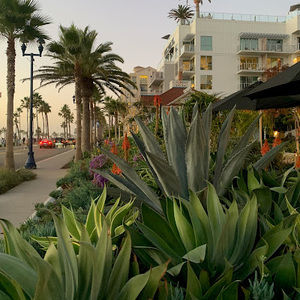 Meet your Posher, Laila